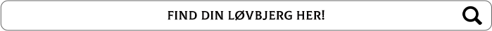 searchbar